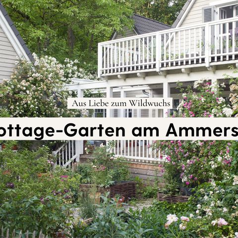 VIDEO Ein üppiger Naturgarten im Münsterland [SCHÖNER WOHNEN]