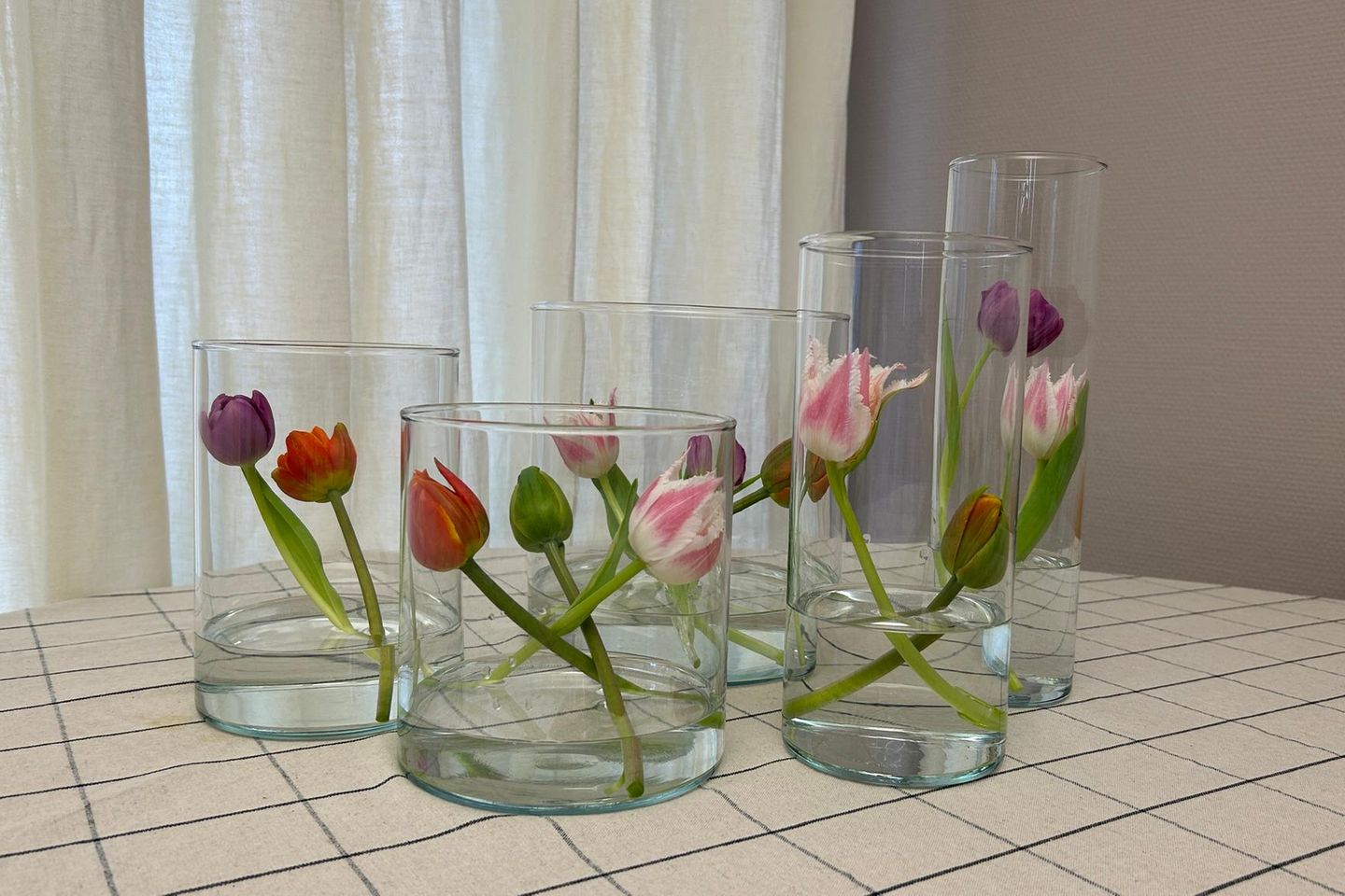 Tulpen im Glas – Anleitung & Video