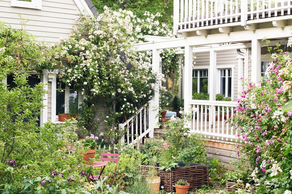 Holzhaus mit Veranda und üppigem Garten mit Kletterrosen