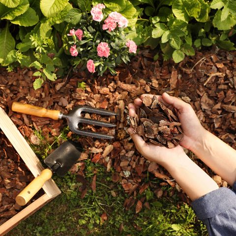 Rindenmulch Kreative Ideen für den Garten [SCHÖNER WOHNEN]