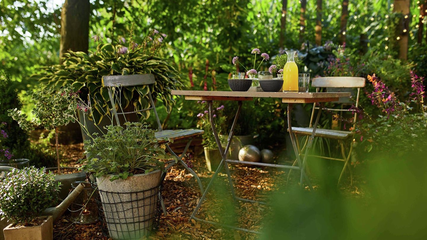 Rindenmulch auf der Terrasse [SCHÖNER WOHNEN]