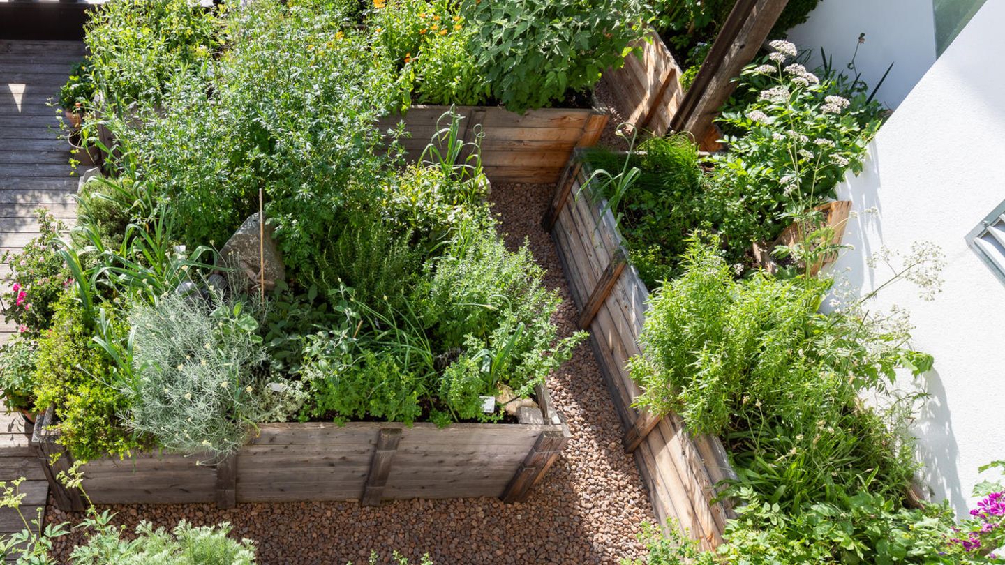 Kräutergarten anlegen – Tipps & Ideen - [SCHÖNER WOHNEN]
