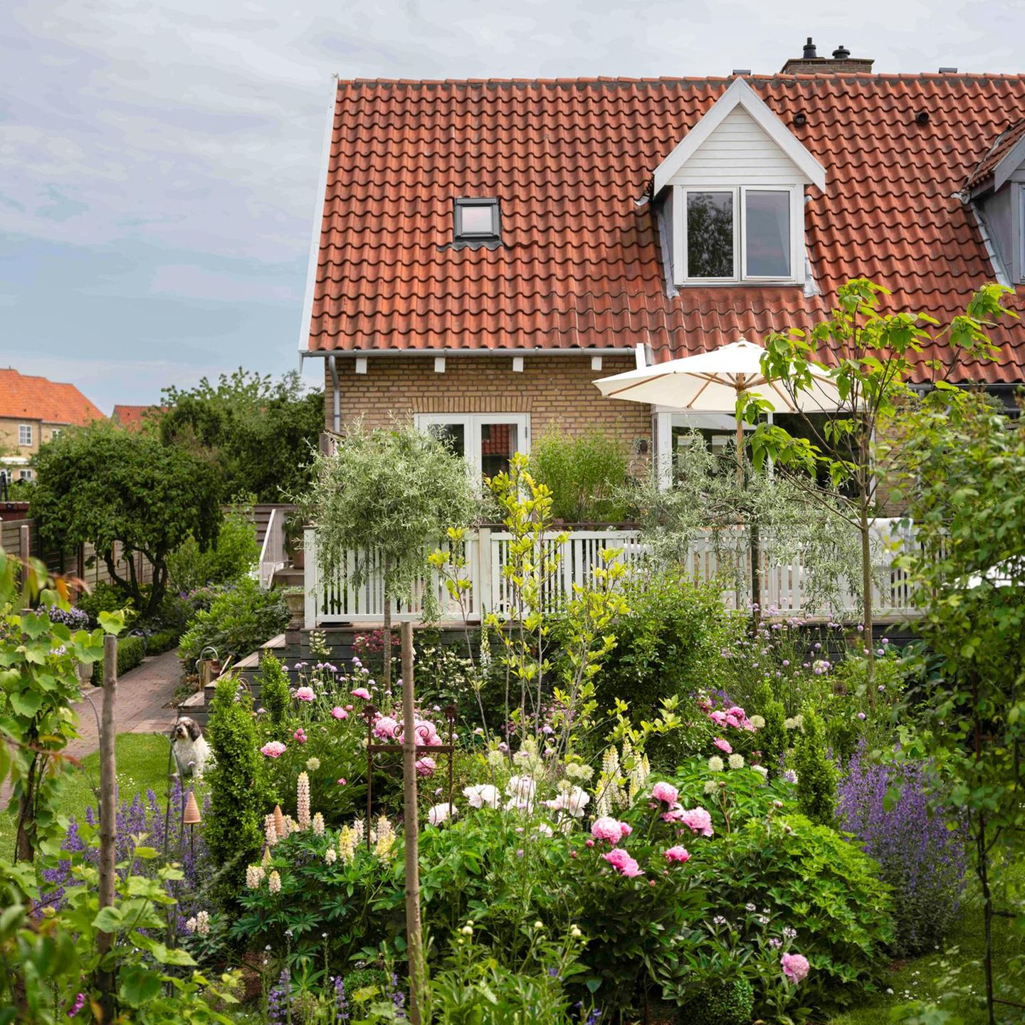 reihenhausgarten-sw042025-1.jpg