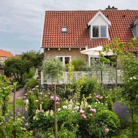 Reihenhaus mit Garten voller bunter Sträucher und Blumen