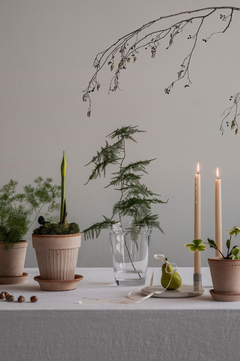 Adventsdeko aus der Natur: Ideen für die Weihnachtszeit